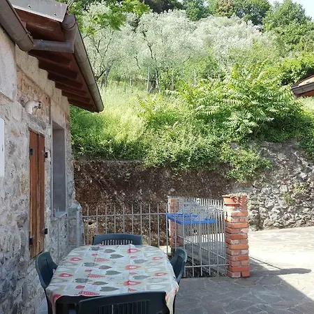 Da Narcisa